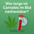 Wie lange ist Cannabis im Blut nachweisbar?